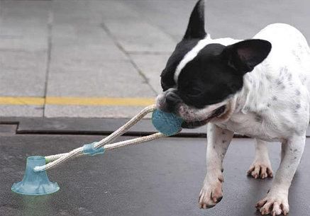 Игрушка для собак на присоске Dog Toy Rope PULL, Игрушка для домашних животных, Игрушка мячик для собак