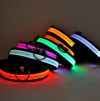 Светящийся ошейник для собак на аккумуляторе USB GLOW RING, Led маячок для животных кошек и собак