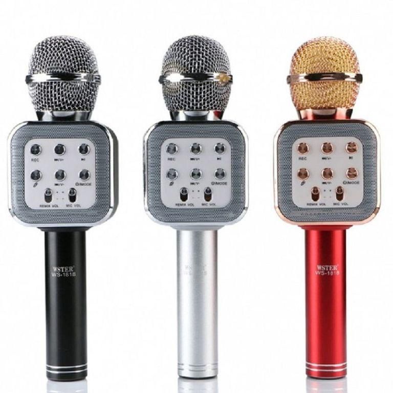 Микрофон DM Karaoke WS1818 + чехол