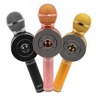 Микрофон DM Karaoke WS668 + чехол