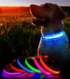Светящийся ошейник для собак на аккумуляторе USB GLOW RING, Led маячок для животных кошек и собак