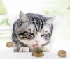 Кошачий мятный шарик игрушка, мятный леденец, конфета для кошек, Лизун для кота на липучке, кошачий мятный-шарик